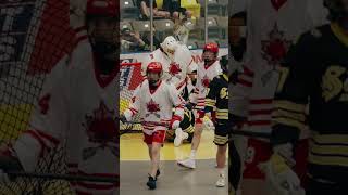 Minto Cup BTB Pass Diving Beaut [upl. by Aalst99]