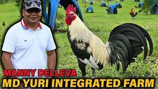 Manny Delleva MD Yuri Integrated Farm  Big Farm in Talisay Philippines [upl. by Anura336]