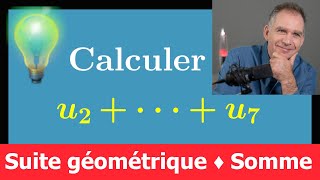 Calculer la somme des termes dune suite géométrique ♦ Su2u7 ♦ Première spécialité maths [upl. by Canotas]