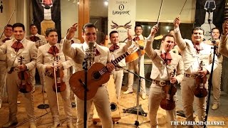 EL SIQUISIRI  MARIACHI NUEVO TECALITLAN  Video Oficial  Grabado en Vivo [upl. by Bonnell]