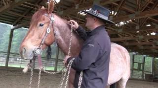 Trek Tip How To Tie Up Your Horse With Mecate Reins [upl. by Aratak697]