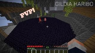 GILDIA HARIBO  Walka na Arenie PvP [upl. by Ulises]