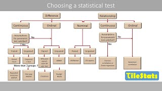 How to choose an appropriate statistical test [upl. by Enoryt]