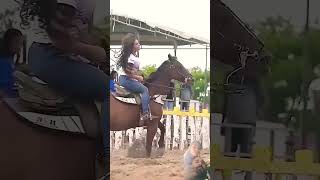 horseequestrianhorseridingcowgirlhorseloverchonafactfact youtubeshortsshortvideo trending [upl. by Maddalena]