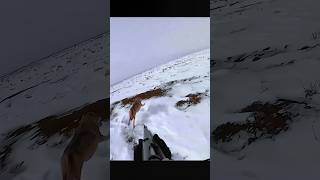 NextLevel Wolf Hunting The Shot of a Lifetime охота hunting chasse hunters волк падение [upl. by Teuton]