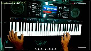 Luciano Pavarotti Caruso cover Yamaha PSR SX900 [upl. by Lehsreh412]