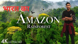 India ka Amazon Rainforest 😨 amazonforest trending dangerous viralvideo shorts ytshorts [upl. by Sherer]