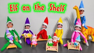 Elf on the Shelf 2020 All Colors Elf on the Shelf and Elf Babies [upl. by Doerrer239]