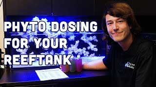 Supercharge Your Home Aquarium The Power of Phytoplankton Dosing [upl. by Karie]