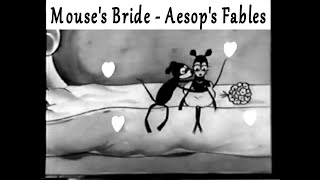 The Mouses Bride  Aesops Fables 1928 with Farmer Alfalfa [upl. by Varick79]