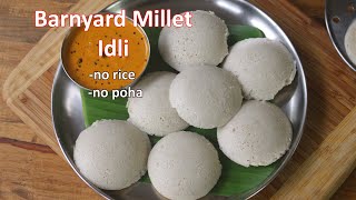 Barnyard Millet Idli Recipe  Soft Millet Idli Without Rice and Poha  Diabetic Friendly Recipe [upl. by Spieler]