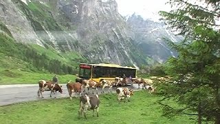 Crossing the Grosse Scheidegg pass [upl. by Teteak]