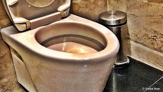 History of Toilets  Behind the News [upl. by Solana203]