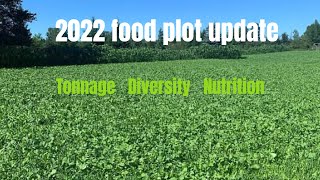 2022 Food plot update [upl. by Ahsilek]