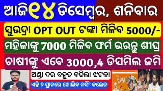 Today News Odisha  14 december 2024  Subhadra yojana money  kisan yojana  Upstox app earn money [upl. by Orna636]