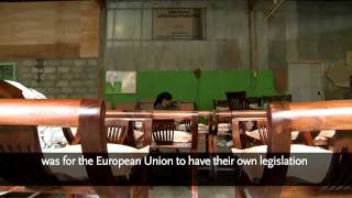 Fighting Illegal Logging The New EU Regulation [upl. by Menell]