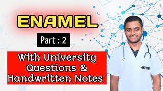 Enamel Part 2  Life cycle of Ameloblasts AmelogenesisBds 1st Year [upl. by Aicaca8]