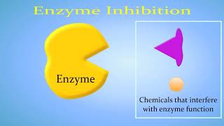 Enzyme Inhibition Competitive vs NonCompetitiveAllosteric [upl. by Coltun]