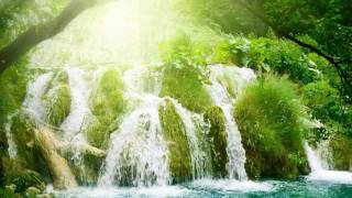 Most relaxing Music ever  Rain Forest Meditation [upl. by Aseuqram388]