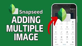 How to Add Multiple Images in Snapseed 2024 [upl. by Lucias852]