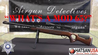 quotNewquot Hatsan Mod 65 quotFull Reviewquot by Airgun Detectives [upl. by Verene643]