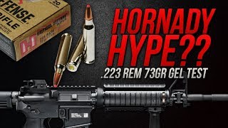 Hornady Hype 223 Rem Hornady 73gr Critical Defense Gel Test [upl. by Wind690]