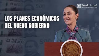 Los planes económicos del nuevo gobierno [upl. by East]