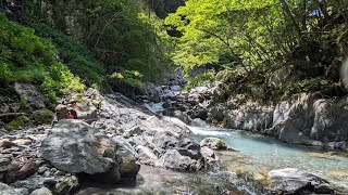 ２３年8月 尺上ヤマト岩魚を求めて渓泊釣行！！（1日目前編）【渓流釣り】 [upl. by Eatnoed963]