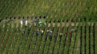 Moseldalen i Tyskland BernkastelKues Romantiska Mosel  Turism [upl. by Adnorrehs268]