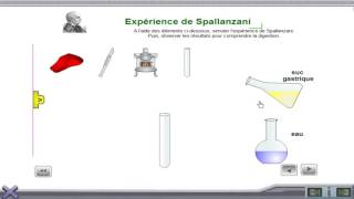 expérience de spallanzani sur la digestion [upl. by Edeline]