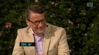 Almedalen 2013  Debatt med Göran Hägglund KD  Hela intervjun [upl. by Avictor]