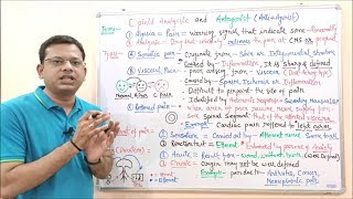 Opioid Analgesic amp Antagonist Part 01  Pain and its Types  Types of Pain  Opioid Analgesics [upl. by Gordon525]