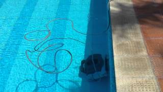 Kripsol Robotic Pool Cleaner at Embassy in Delhi  22 [upl. by Schott]