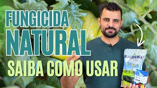 Fungicida Natural Como Escolher e Usar para Proteger Suas Plantas [upl. by Avivah]