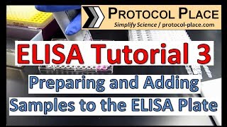 ELISA Tutorial 3 Preparing and Adding Samples to the ELISA Plate [upl. by Cleopatra]