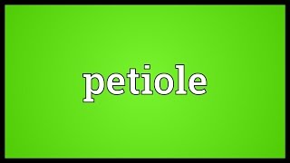 Petiole Meaning [upl. by Namad]