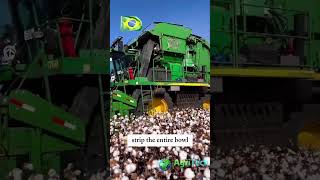 What Makes This Cotton Harvester So Efficient [upl. by Forster]