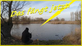 Friedfischangeln im Winter mit Pose und Grundmontage am See zum Erfolg [upl. by Allisirp]