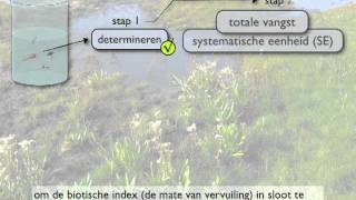 systematische eenheid en biotische index [upl. by Ymaral]