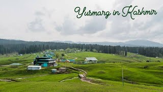 Yusmarg in Kashmir Valley  Beautiful Kashmir  Tourist Place in Kashmir [upl. by Ellicul898]