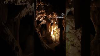 One of the oldest cave systems in the world  Cango Caves Oudtshoorn gardenroute southafrica [upl. by Cristy]