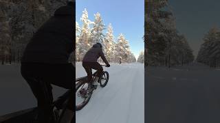 Вот это я понимаю сибирский ноябрь а не вот это вот все shorts fatbike [upl. by Eirrek651]