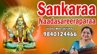 Sankaraa Naadasareeraparaa  శంకరా నాదశరీరాపరా  சங்கரா film Instrumental by Veena Meerakrishna [upl. by Nylirej]