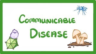 GCSE Biology  Communicable Disease 34 [upl. by Leiahtan]