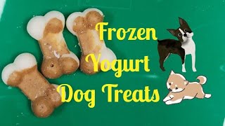 Making Frozen Yogurt Dog Treats With AddIns Dogtreats [upl. by Rosie268]