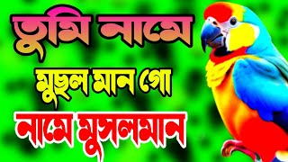 তুমী নামে মুসলমান গো সেরা ২টি গজল Nice ghazal tv 🌹 Tume Name Musolman go Gojol [upl. by Yelekalb31]