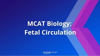 MCAT Biology Fetal Circulation [upl. by Eenahpets105]