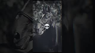 Hickstead is haunting me [upl. by Pitchford347]