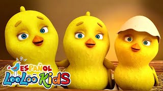 🐥PioPio Pollitos  Canciones Infantiles para niños  ChuChuWa [upl. by Avle746]