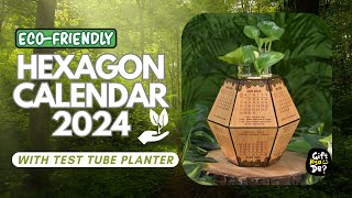 Eco Friendly Calendar for 2024 with Test Tube Planter  Wooden Hexagon Calendar 2024 [upl. by Barram]